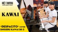 Despacito - Bản song tấu piano cover chất - Piano Shigeru Kawai SK-2